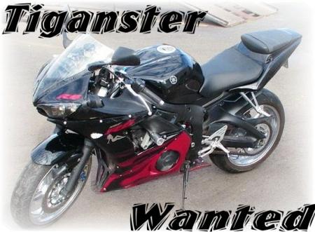 voici ma moto une bete g suis le plus recherche de tous com!!